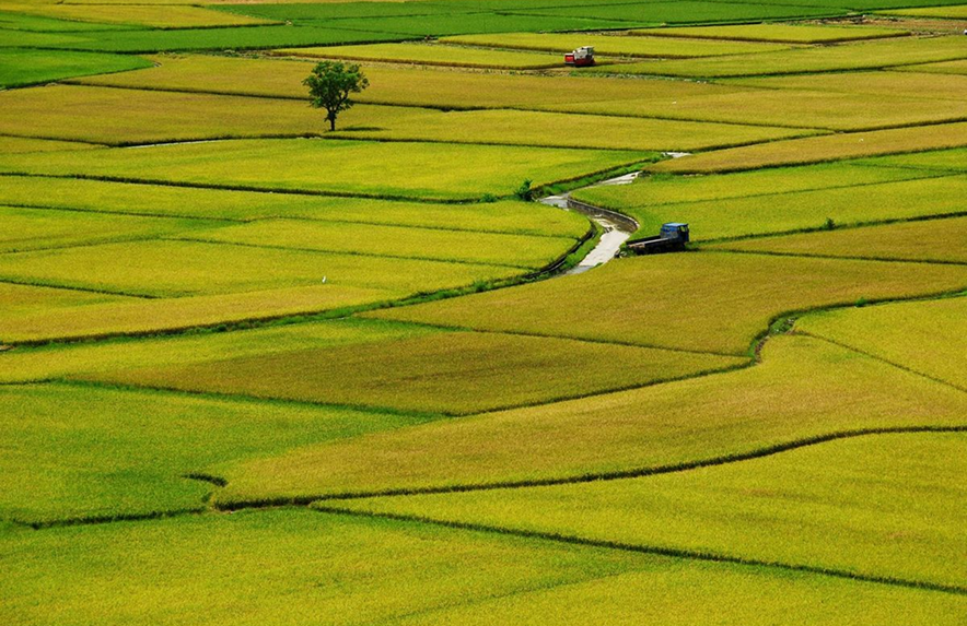 Agro Machinery Founder Image