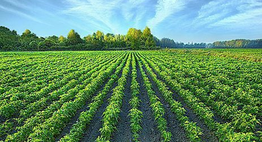 AGROMECH ENGINEERS Gallery Image